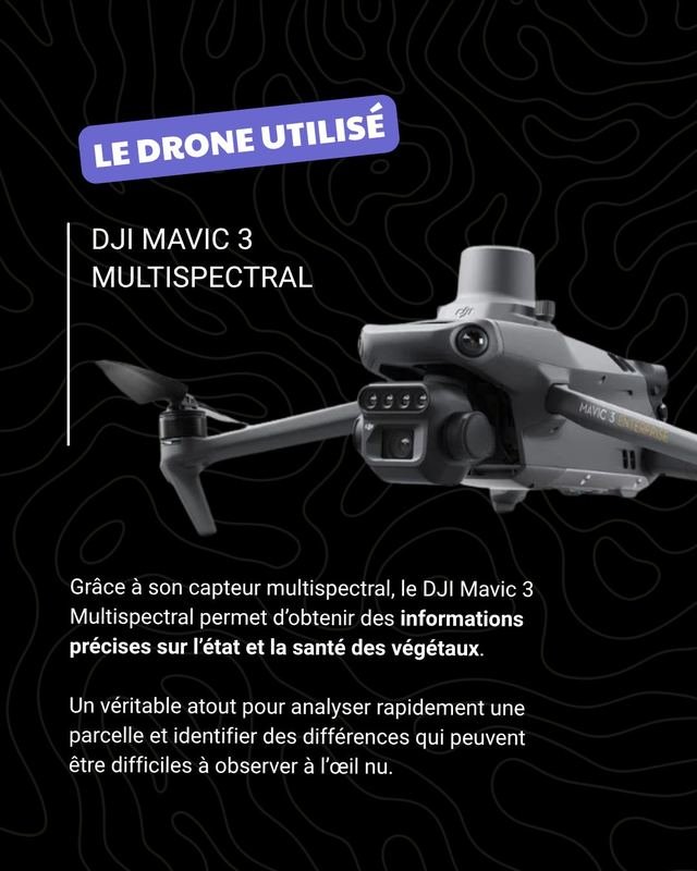 Diapositive 3 sur 7 du post Instagram