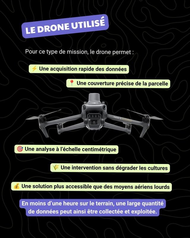 Diapositive 4 sur 7 du post Instagram