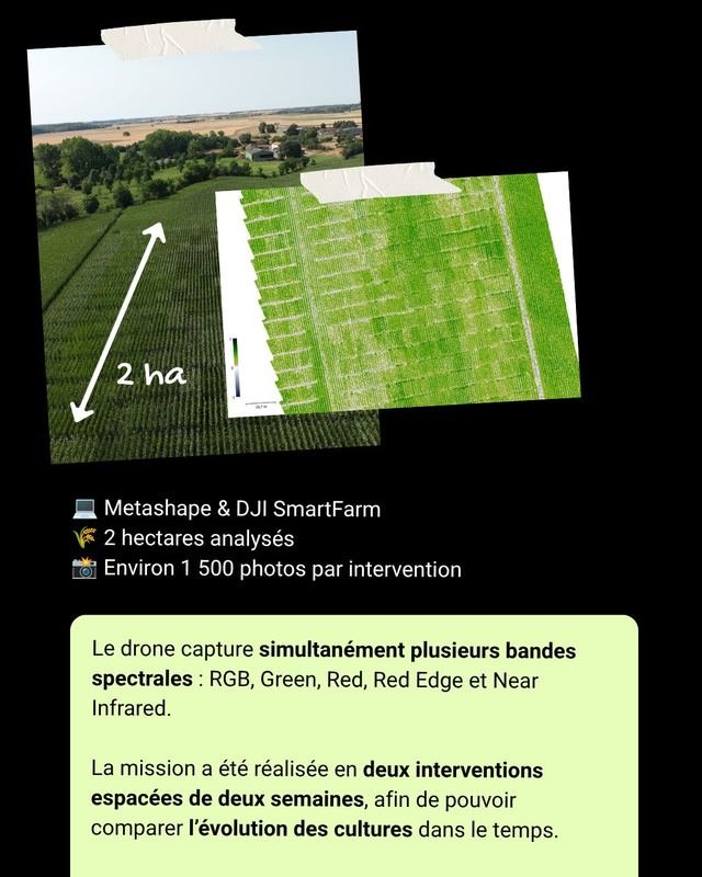 Diapositive 5 sur 7 du post Instagram