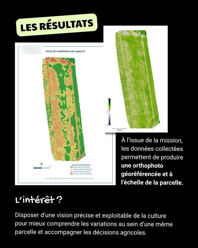 Diapositive 6 sur 7 du post Instagram