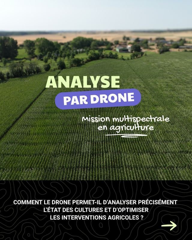 Diapositive 1 sur 7 du post Instagram